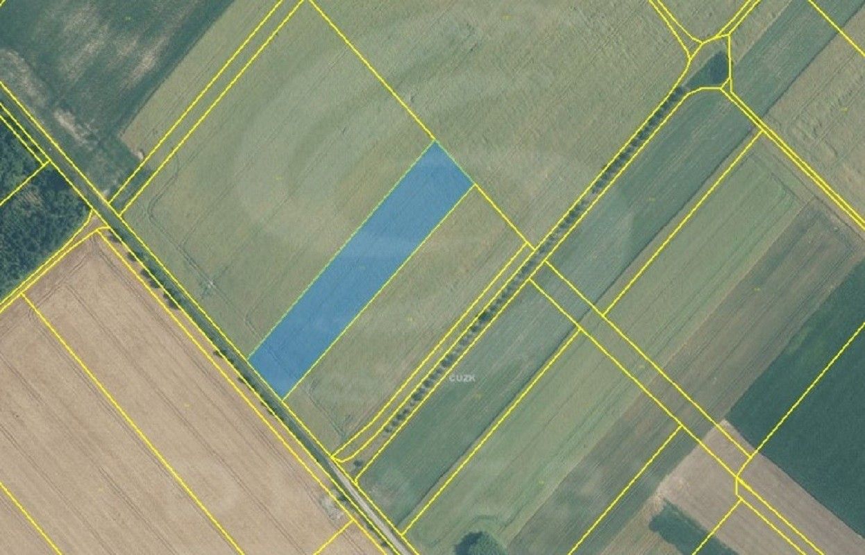 Prodej zemědělský pozemek - Radkova Lhota, 6 378 m²