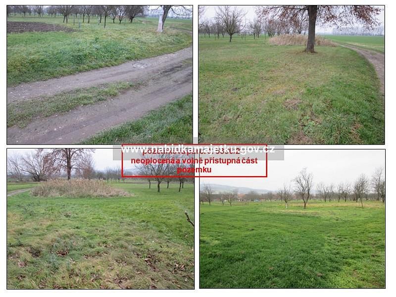 Pozemek · Kněždub, okres Hodonín - 4