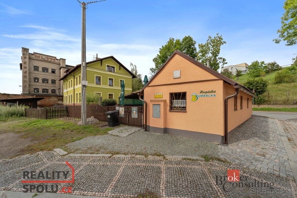 Rodinné domy, Borovnice, 517 41