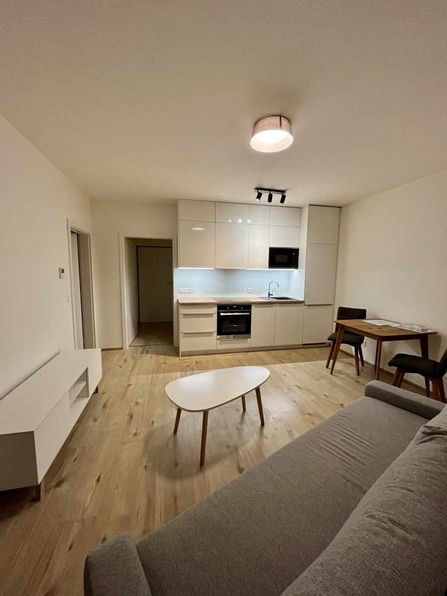 2+kk, Eduarda Hamburgera, Olomouc, 45 m²