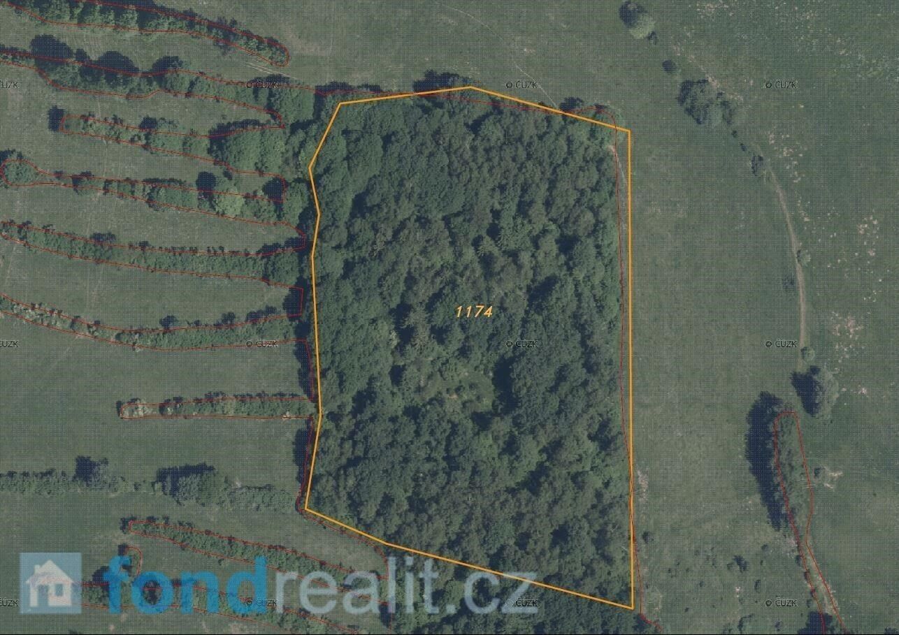 Prodej zemědělský pozemek - Přimda, 35 381 m² - 5