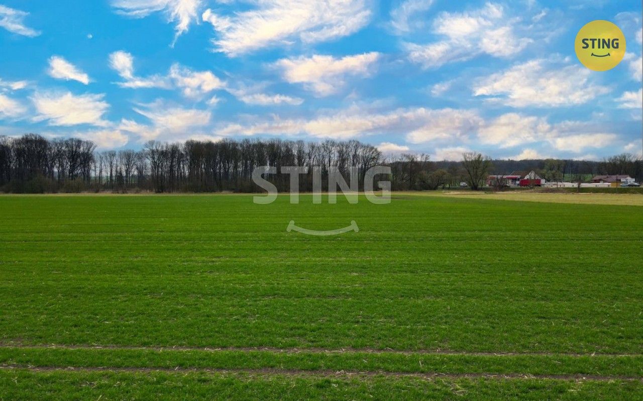 Zemědělské pozemky, Sadová, 6 038 m²