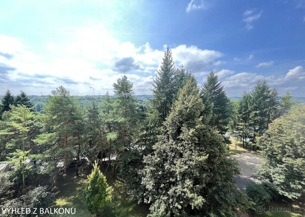 Pronájem byt - Brno, 625 00