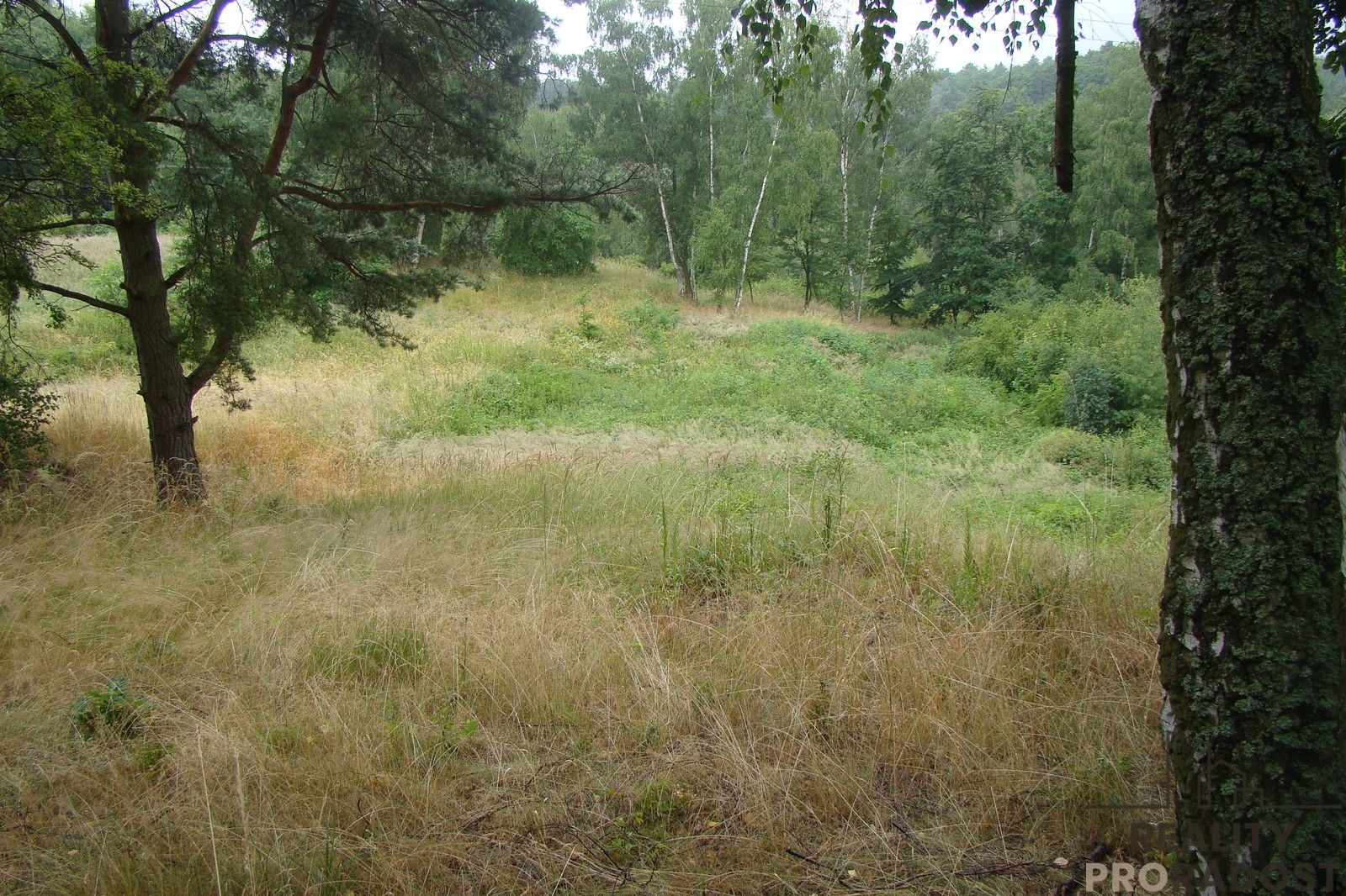 Prodej zahrada - Krušovice, 2 000 m² - 5
