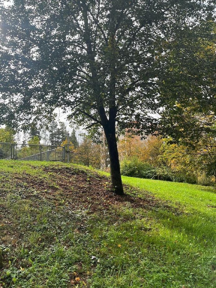 Prodej byt - Zlín, 760 05