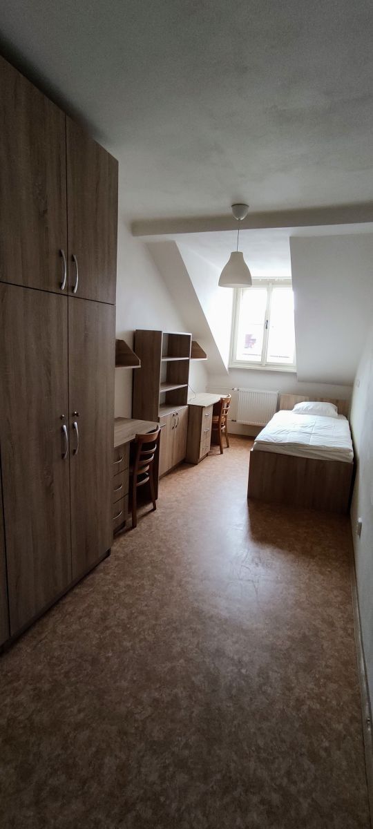 Byty, Lublaňská, Praha - Vinohrady, 300 m² - 1