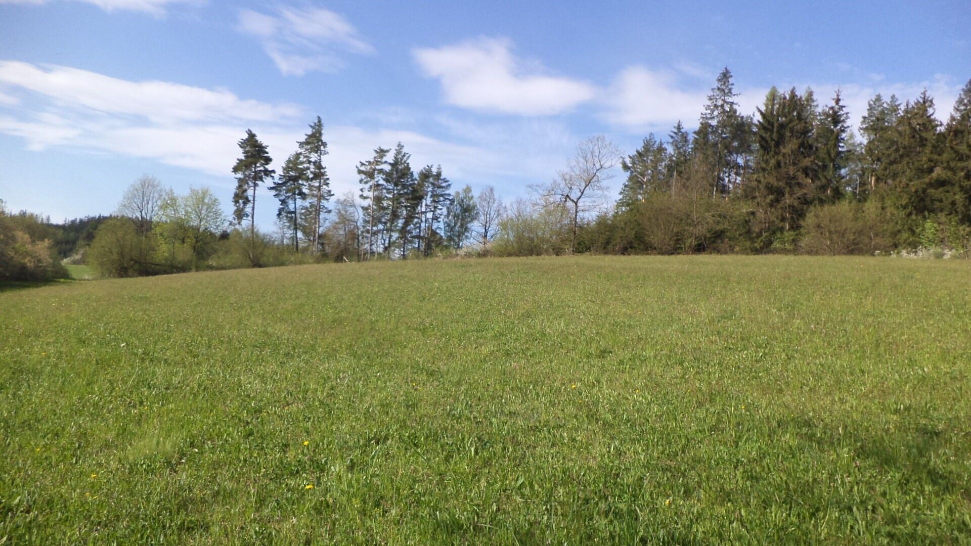 Zemědělský pozemek · 9 910 m² · Mokrosuky - 3