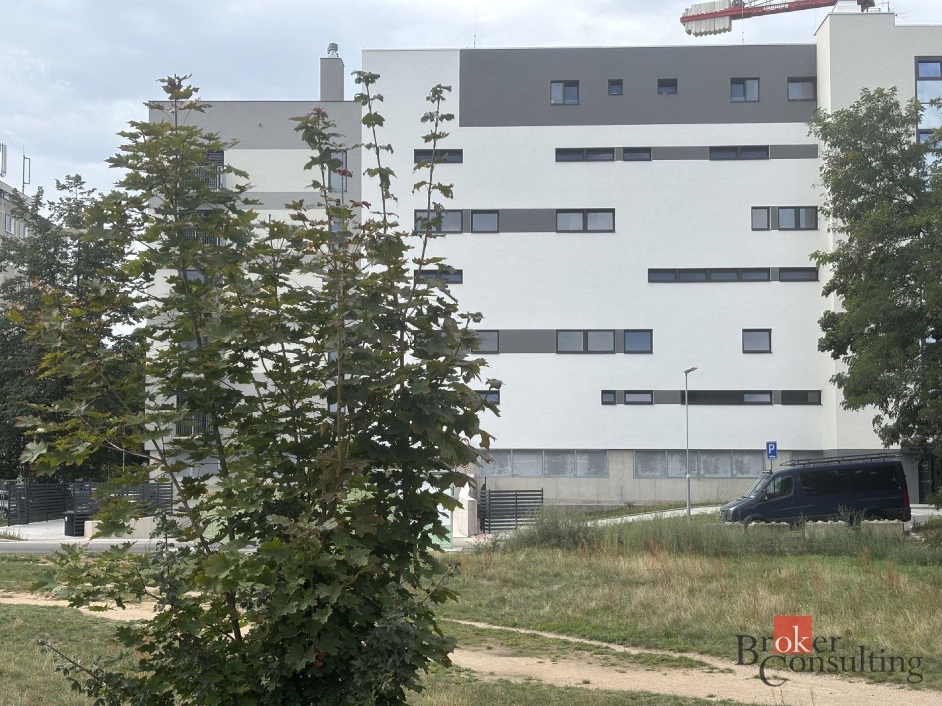 Komerční pozemek · 1 698 m² · Nový Hradec Králové, Hradec Králové - 3
