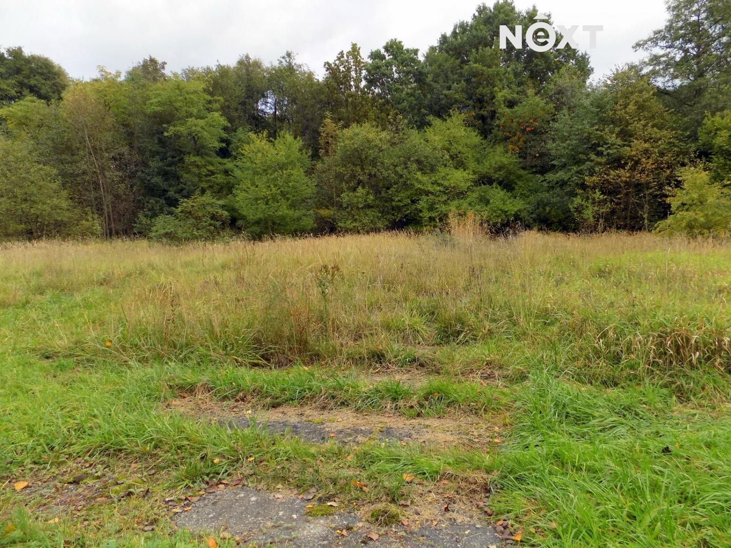 Prodej pozemek - Skalice u České Lípy