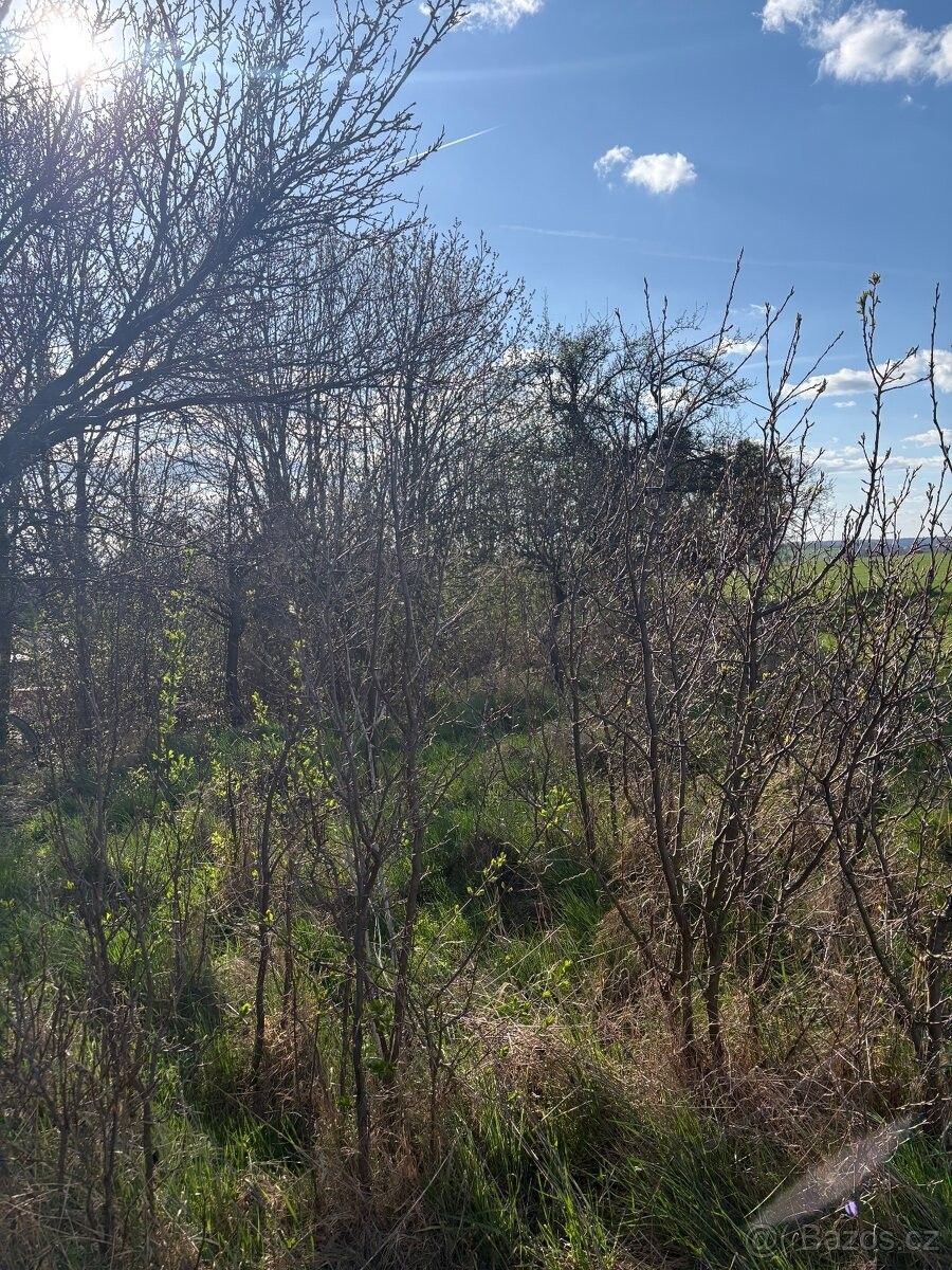 Prodej pozemek pro bydlení - Kroměříž, 767 01