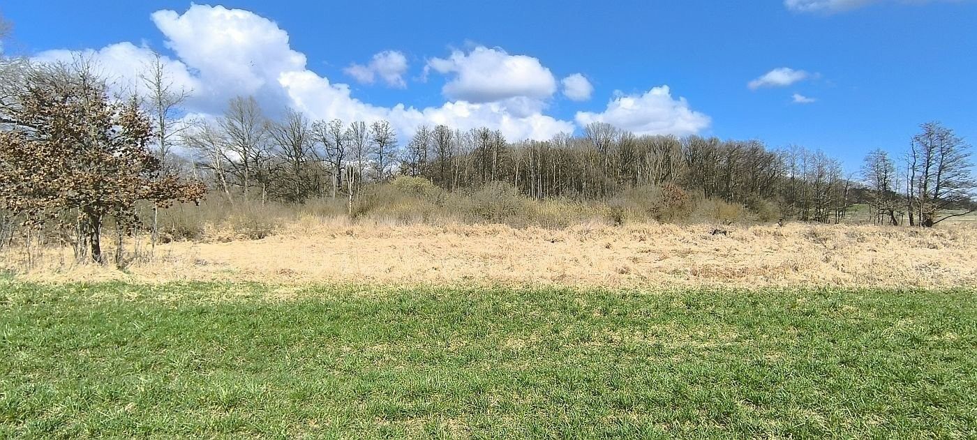 Zemědělský pozemek · Anglická, Františkovy Lázně - 4