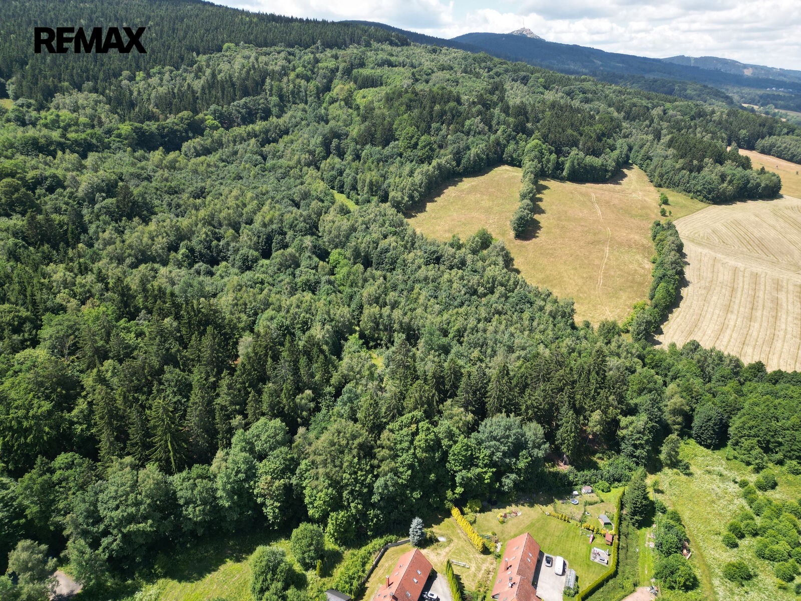 Les · 4 606 m² · Šimonovice - 4