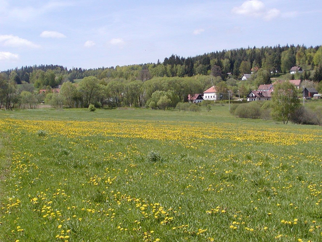 Prodej pozemek pro bydlení - Malonty - Desky, okres Český Krumlov, Jihočeský kraj - 5