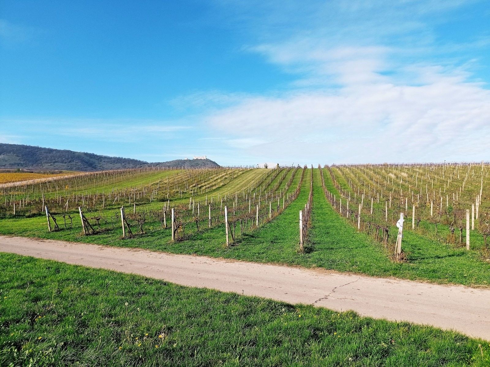 Ostatní, Pavlov, 9 m²