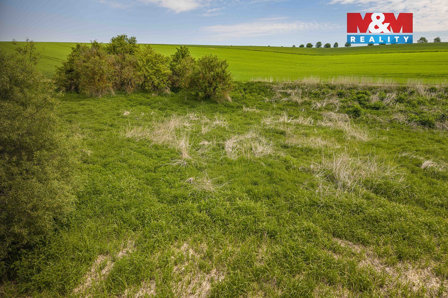 Prodej louka - Vlašim - Domašín, okres Benešov - 5