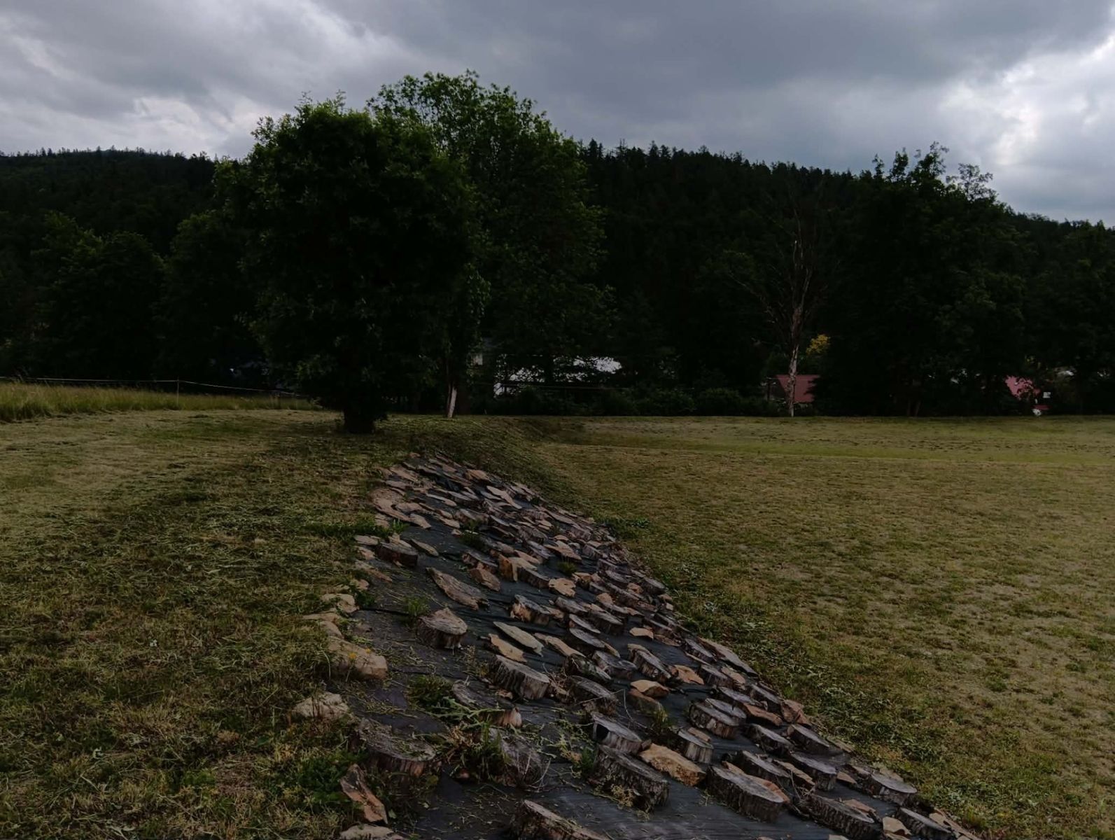 Pozemek pro bydlení · Brantice - Radim u Brantic, Moravskoslezský kraj - 4