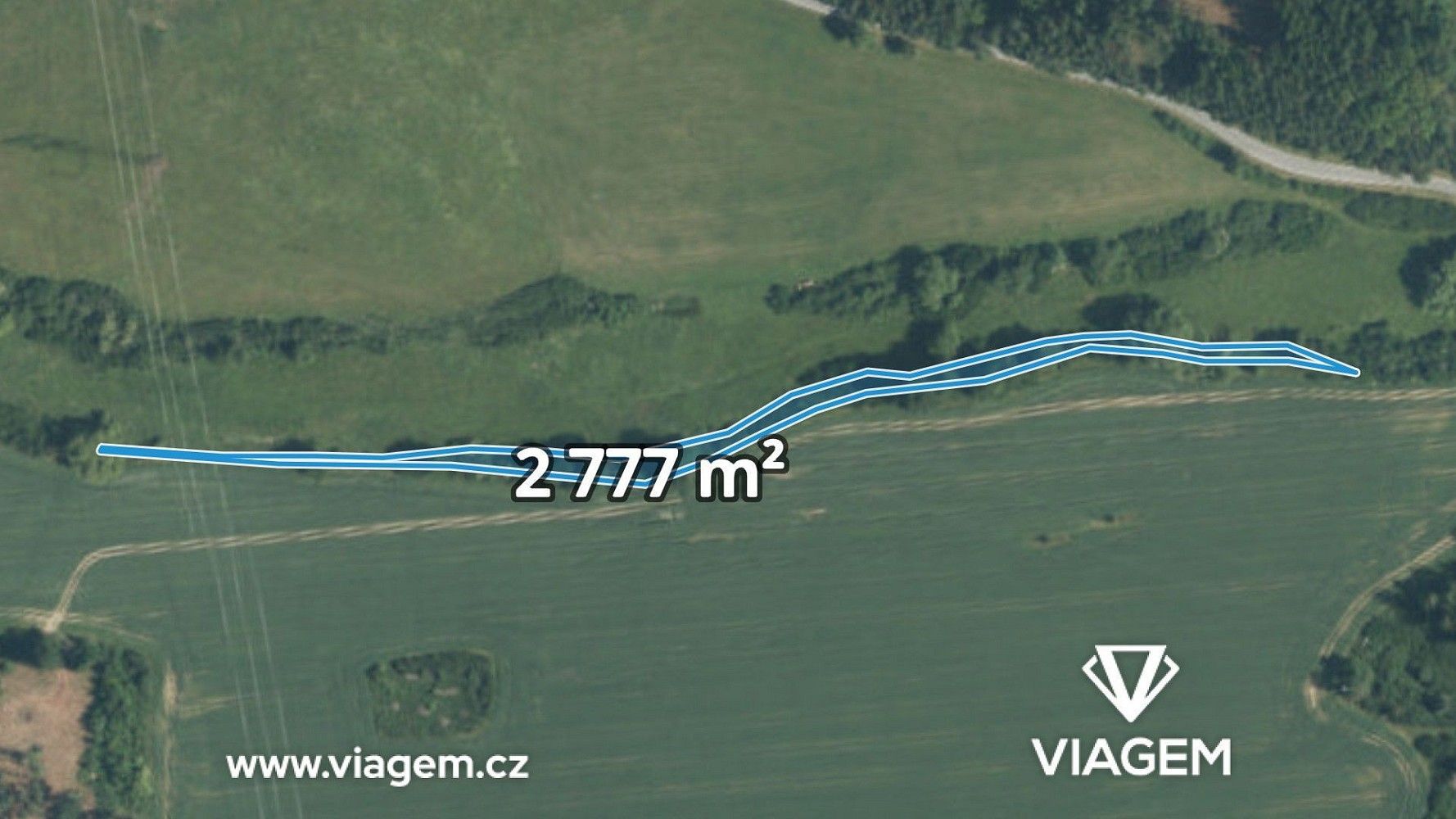 Lesy, Svojšín, okres Tachov, Plzeňský kraj - 1