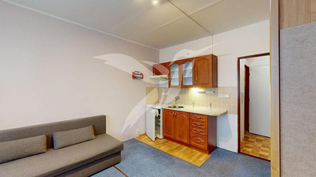 Pronájem byt 1+kk - Skupova 2519, Plzeň Jižní Předměstí, 20 m² - 5