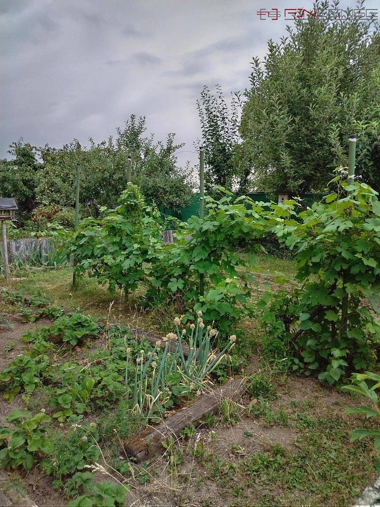 Rodinné domy, U Trati, Kladno, 20 m² - 2
