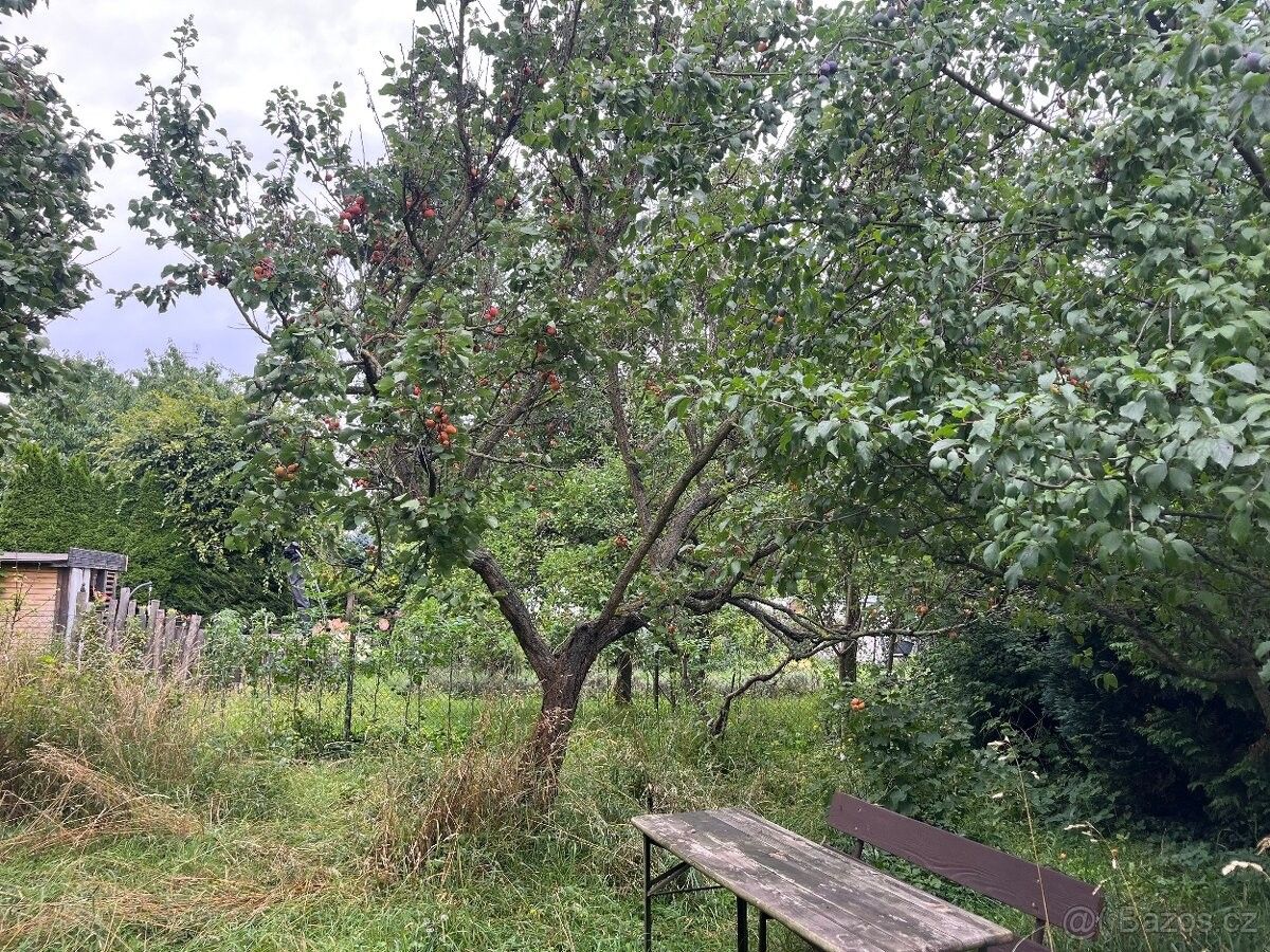 Pronájem byt - Olomouc, 779 00