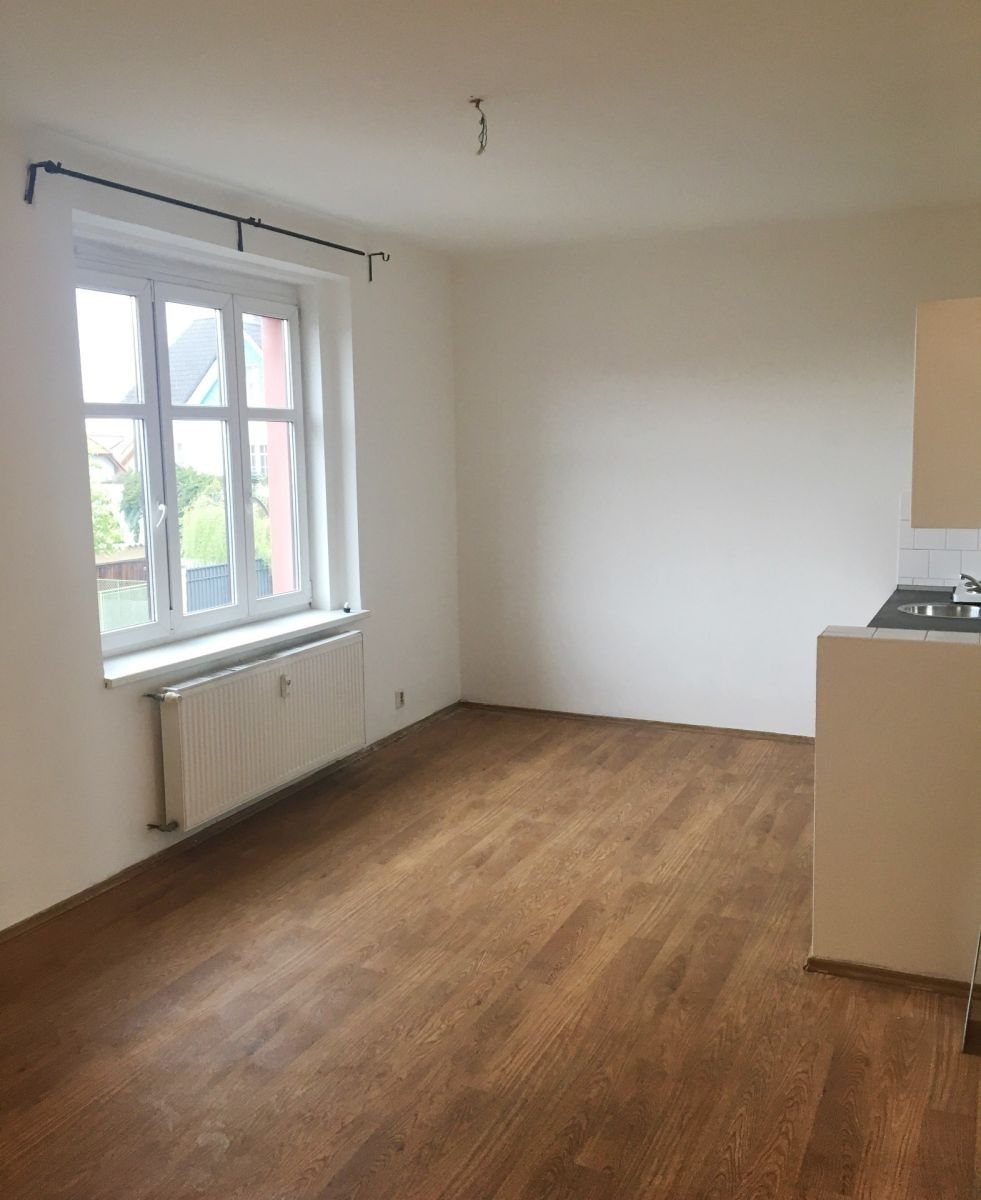 1+kk, Pod Sychrovem Ⅰ, Praha - Vršovice, 24 m² - 1