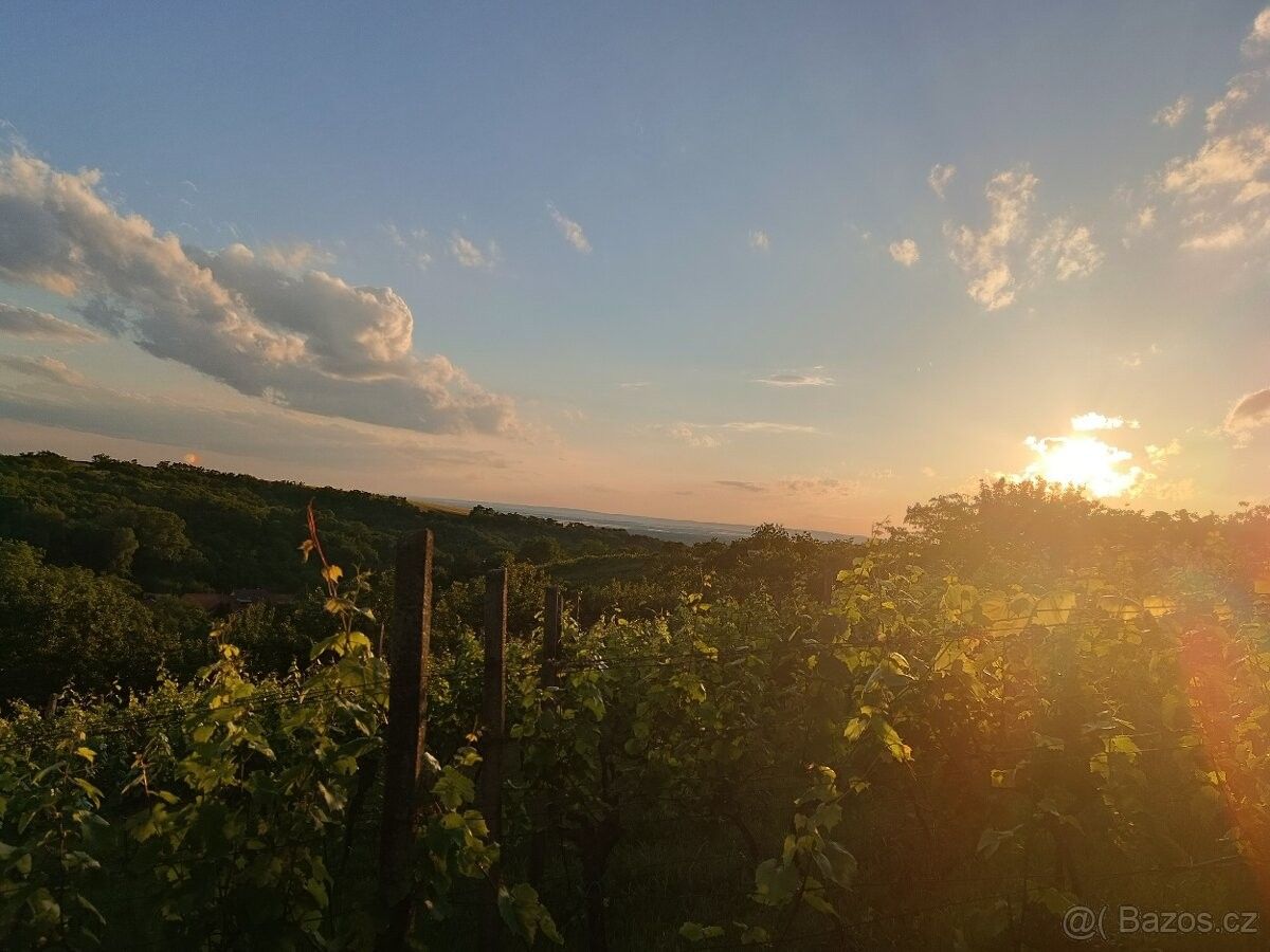 Zahrady, Křepice u Hustopečí, 691 65