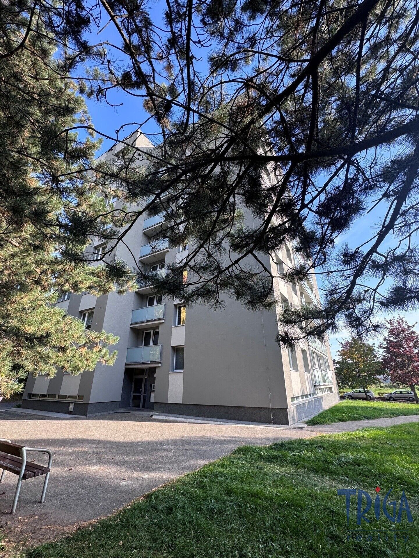 Byt 3+1 · 65 m² · Na Zavadilce, Jaroměř Pražské Předměstí - 3
