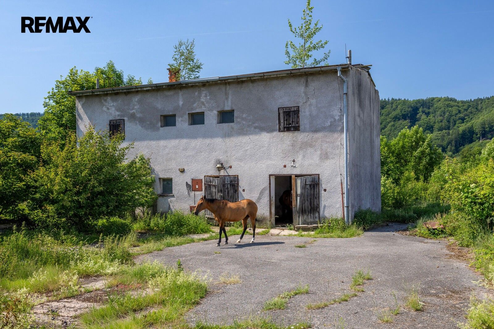 Komerční pozemky, Potštejn, 8 581 m² - 2