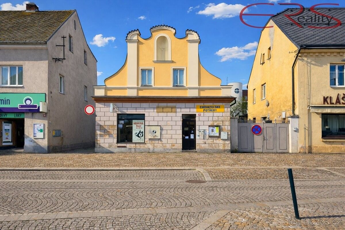 Rodinné domy, Mnichovo Hradiště, 295 01