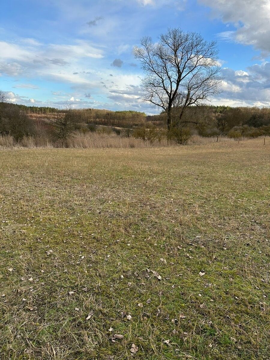 Pozemky pro bydlení, Poděbrady, 290 01