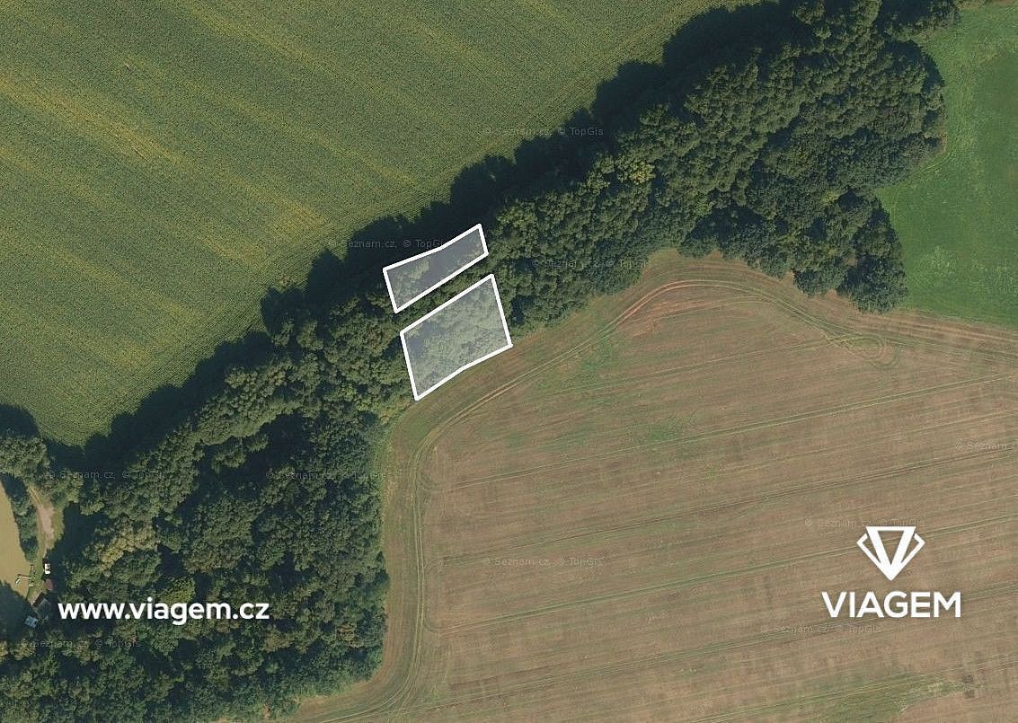 Zemědělské pozemky, Mladějov na Moravě, okres Svitavy - 1