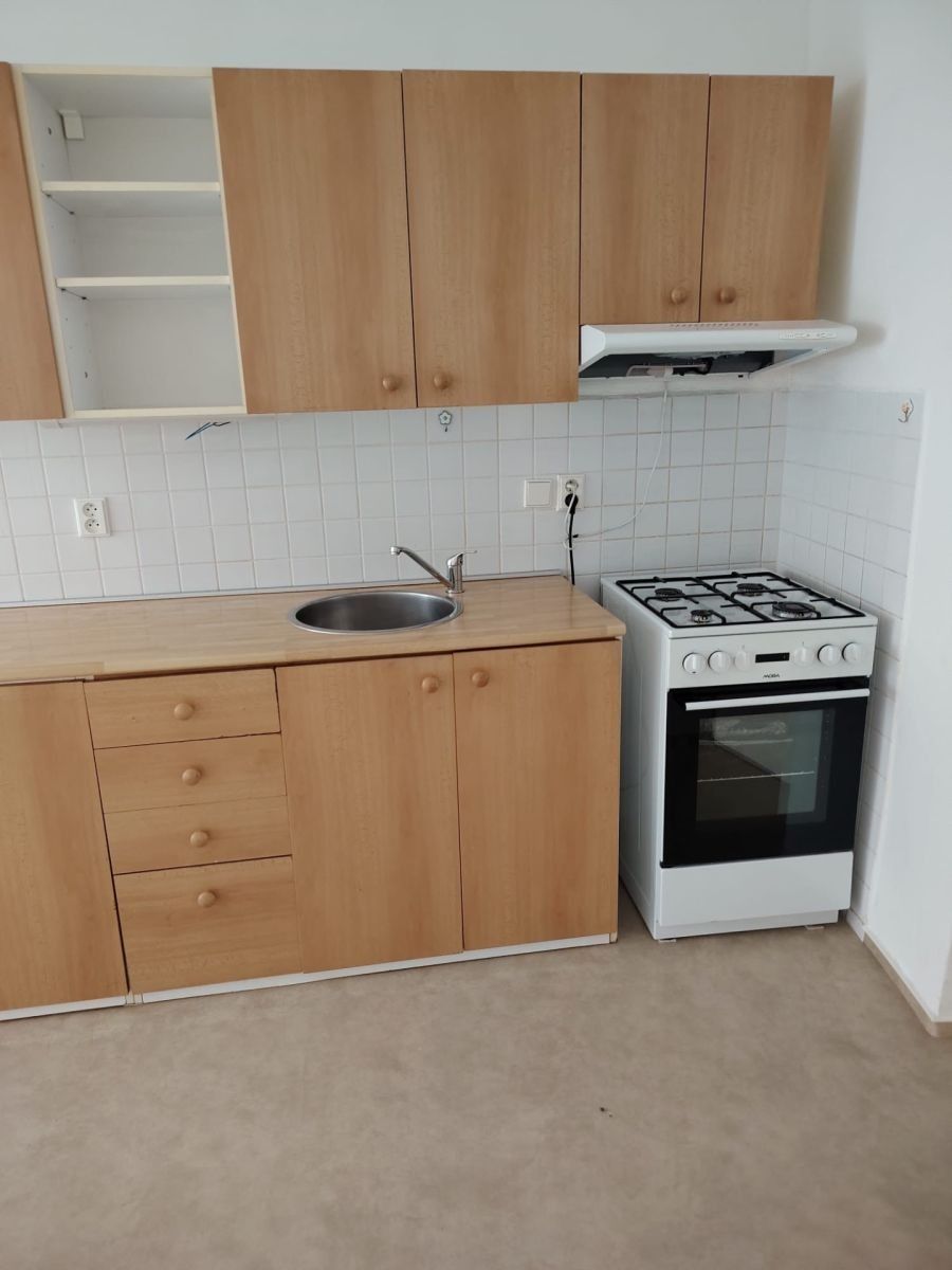 Byt 2+1 · 80 m² · Drlíčov, Písek - Písek, Jihočeský kraj - 4
