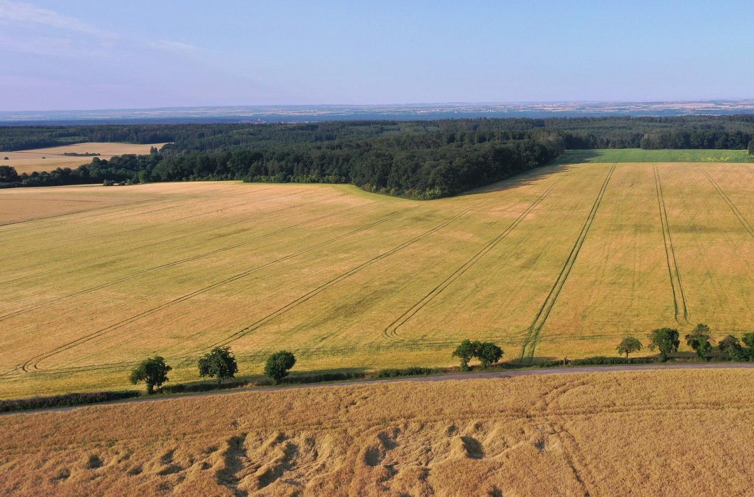 Zemědělské pozemky, Horní Slivno, okres Mladá Boleslav, Středočeský kraj - 2