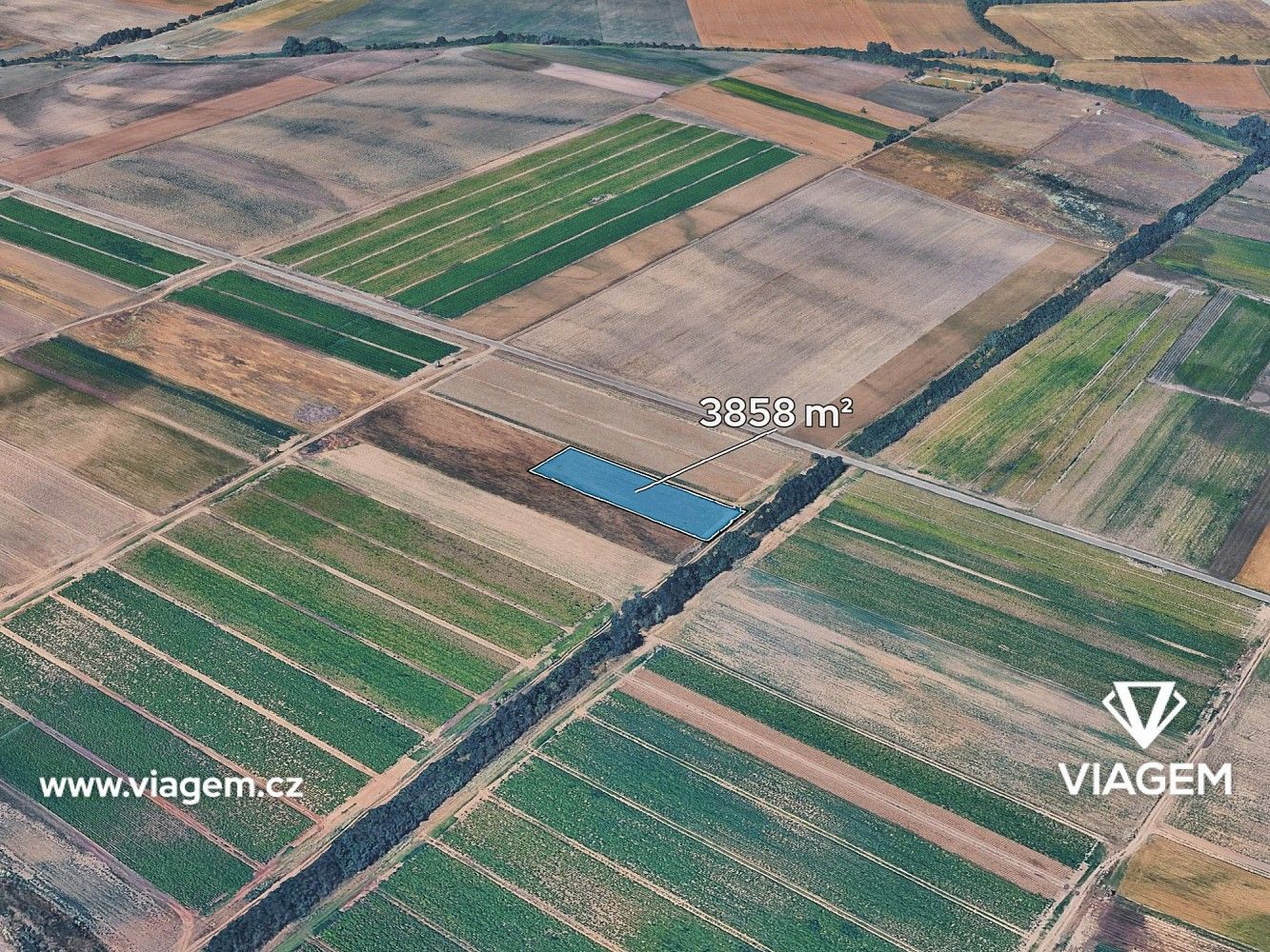 Zemědělský pozemek, 3 858 m²