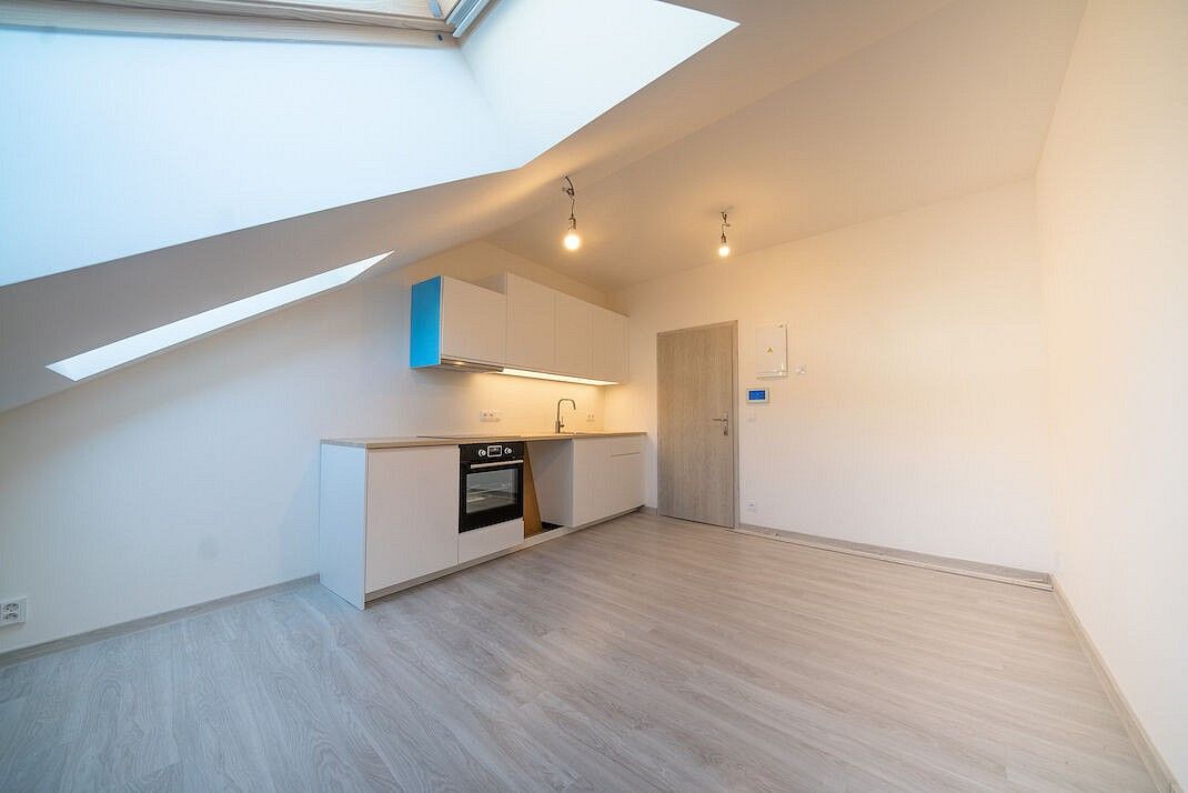 1+kk, Praha - Vršovice, okres Praha 10, Hlavní město Praha, 24 m² - 2