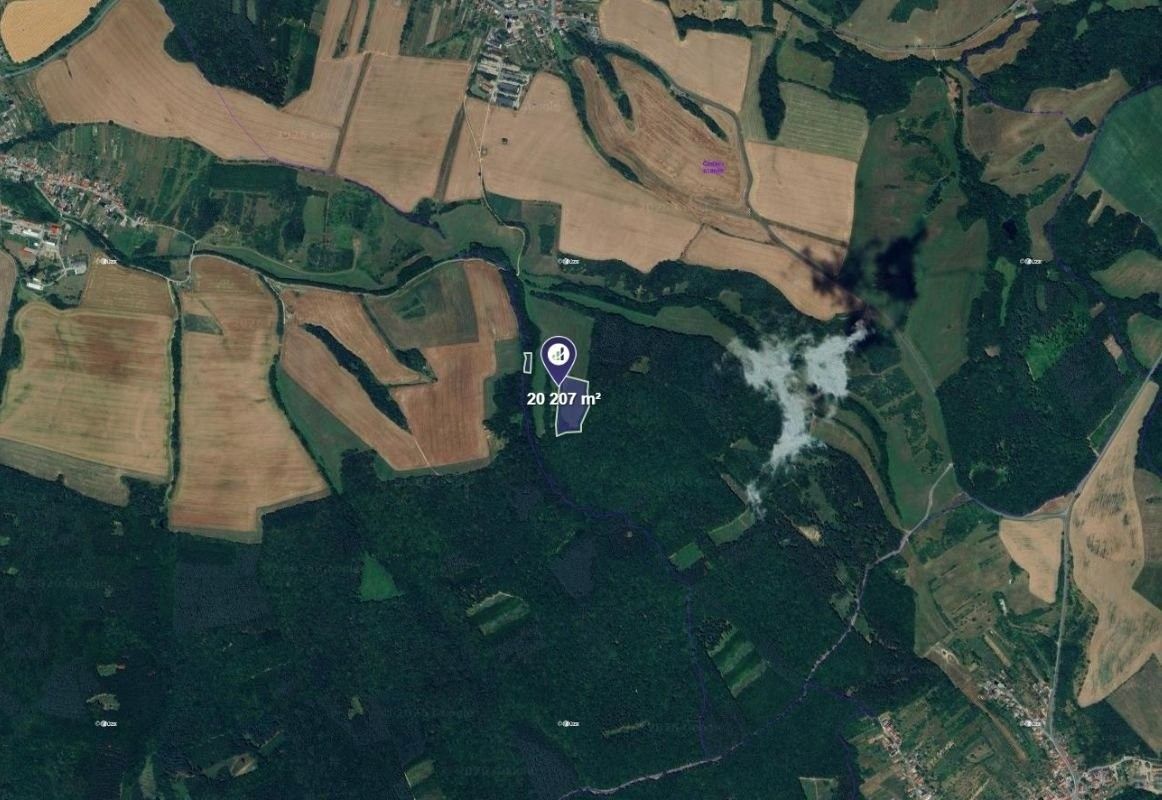 Prodej louka - Částkov - 2