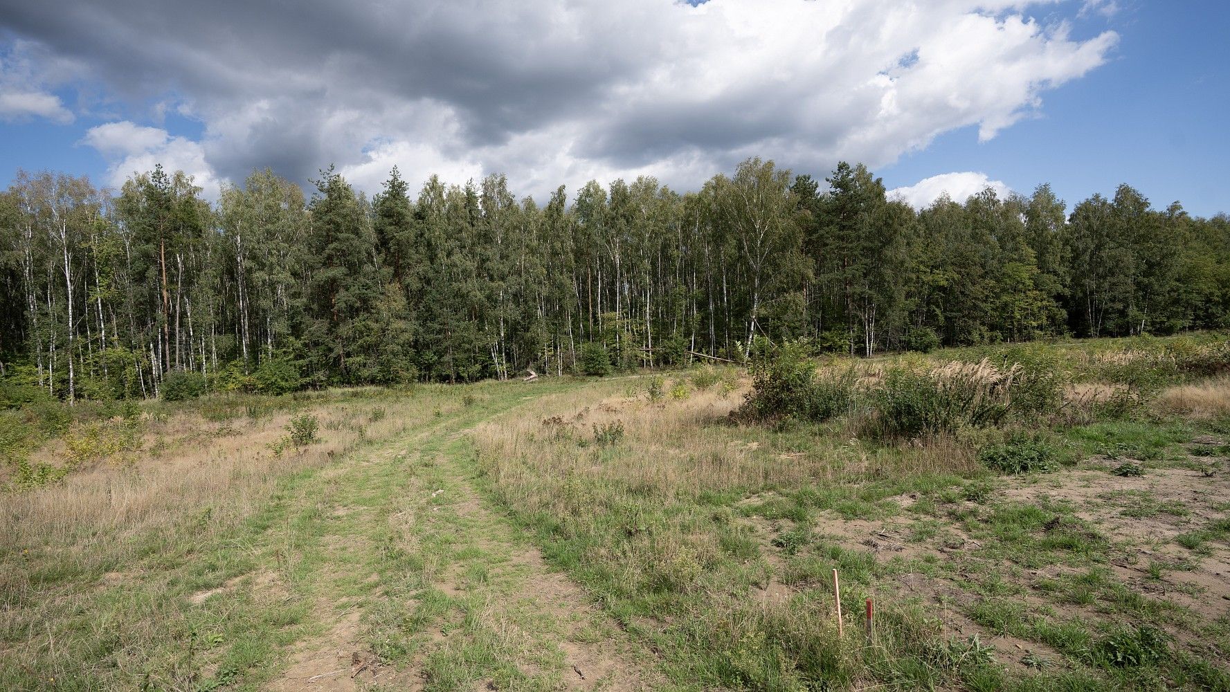 Pozemky pro bydlení, Ralsko - Kuřívody, okres Česká Lípa, Liberecký kraj - 2