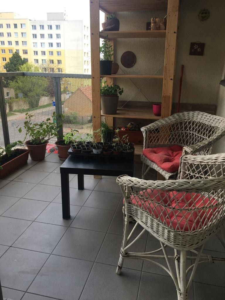 Prodej byt - Brandýs nad Labem-Stará Boleslav, 250 01