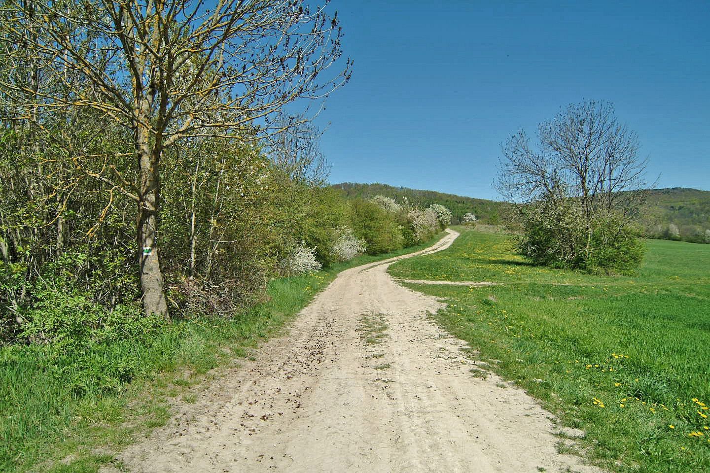 Louka, 873 m²