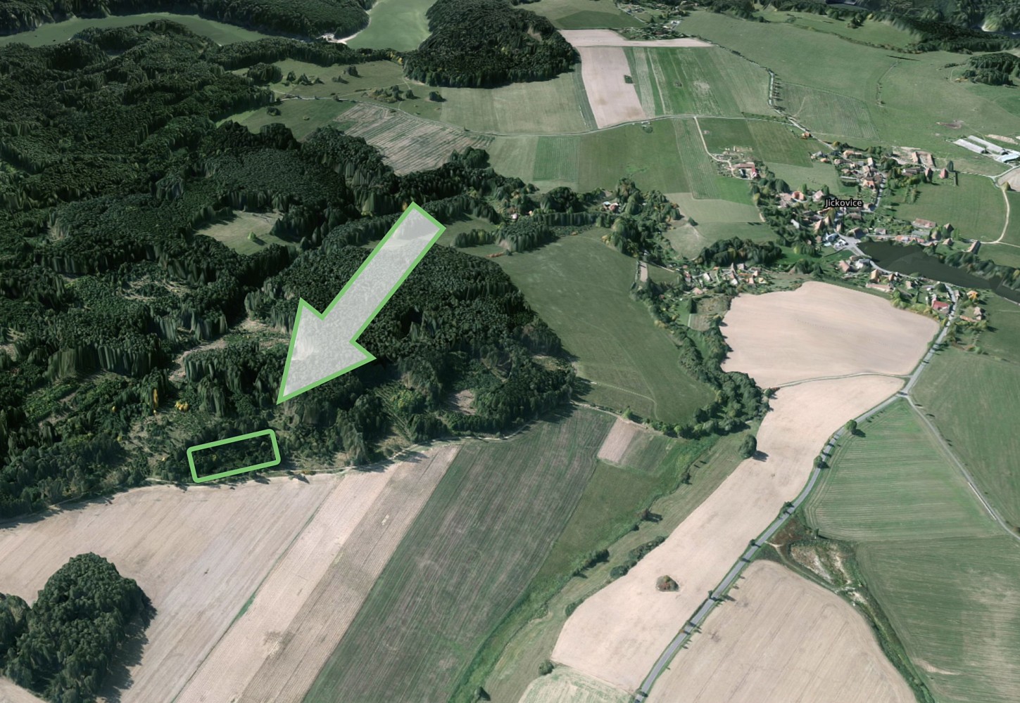 Les · Jickovice, okres Písek - 3