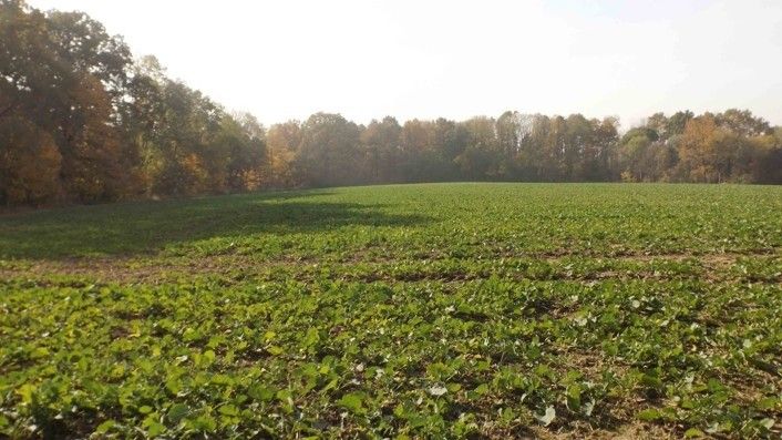 Prodej pozemek pro bydlení - Ostrava, 717 00