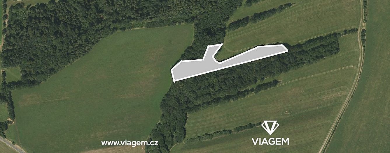 Zemědělské pozemky, Suchdol nad Odrou, okres Nový Jičín, Moravskoslezský kraj - 1
