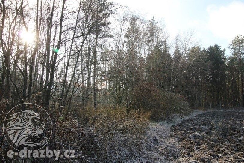 Lesy, Týniště nad Orlicí, 2 644 m²