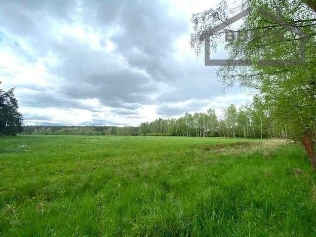 Zemědělské pozemky, Nová Ves - 2