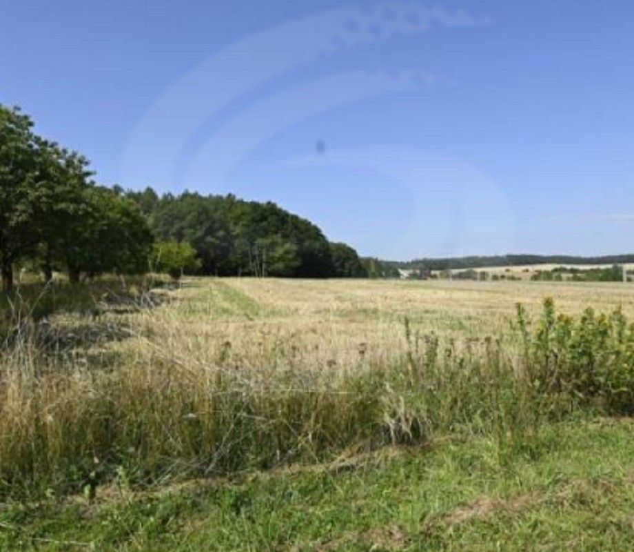 Prodej zemědělský pozemek - Ruprechtov, 9 937 m²