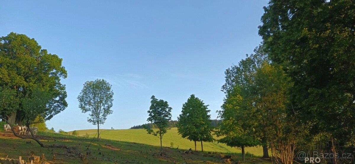 Pozemky pro bydlení, Hanušovice, 788 33