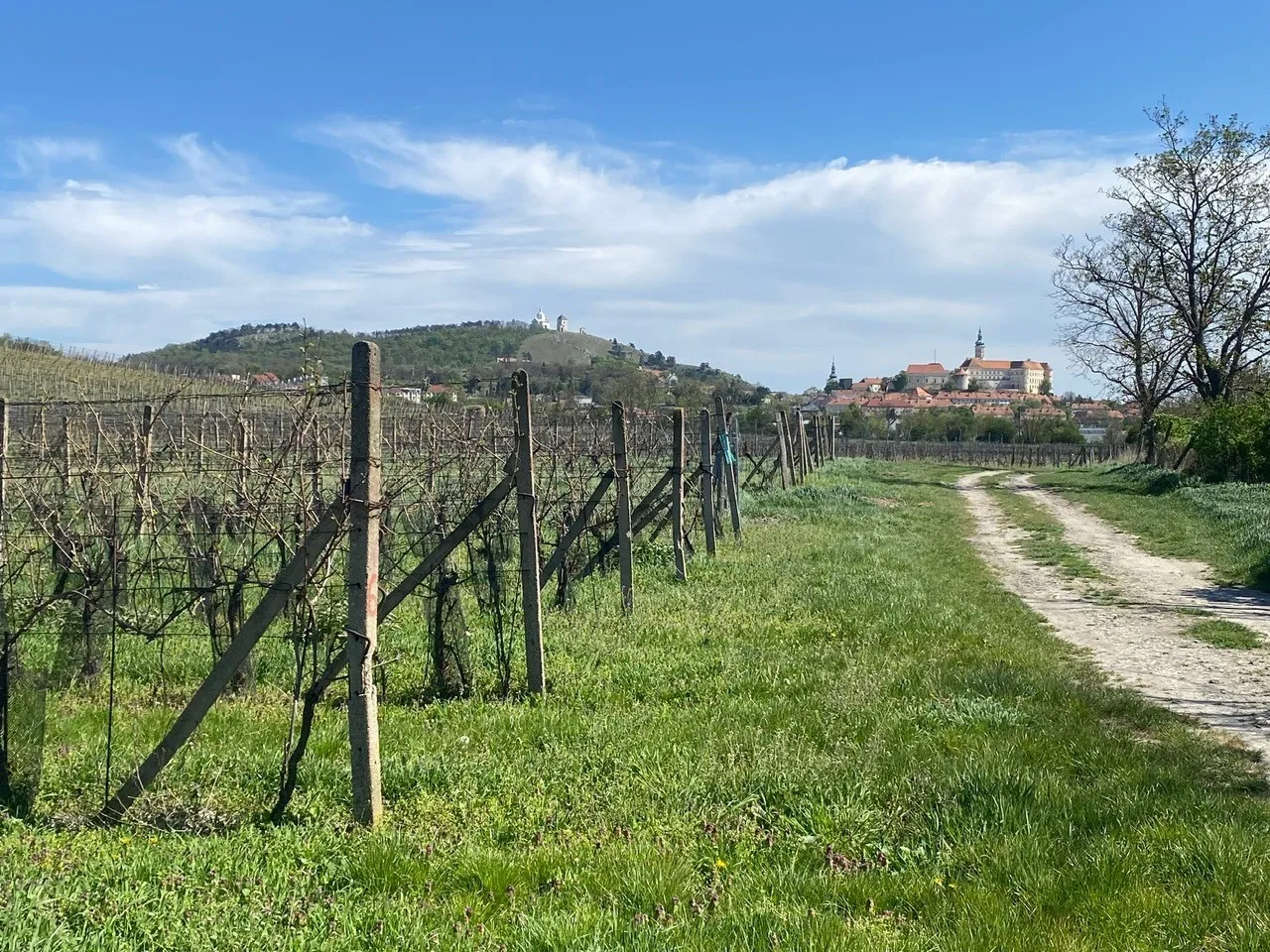 Ostatní