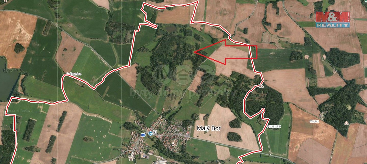 Prodej les - Malý Bor, okres Klatovy, Plzeňský kraj - 5