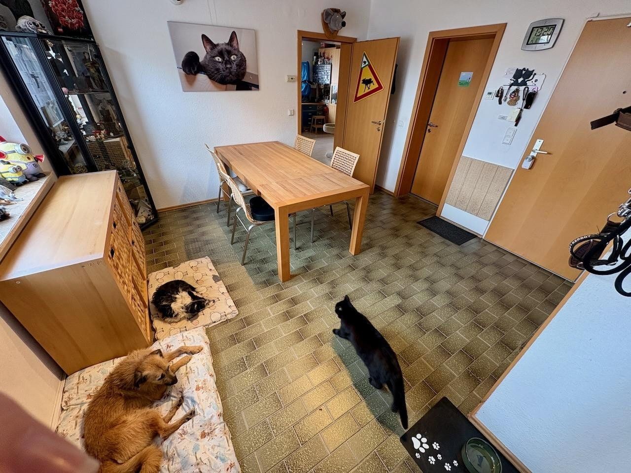 Byt 6+kk a více · 140 m² · Leverkusen Küppersteg Nordrhein-Westfalen 51373 - 3