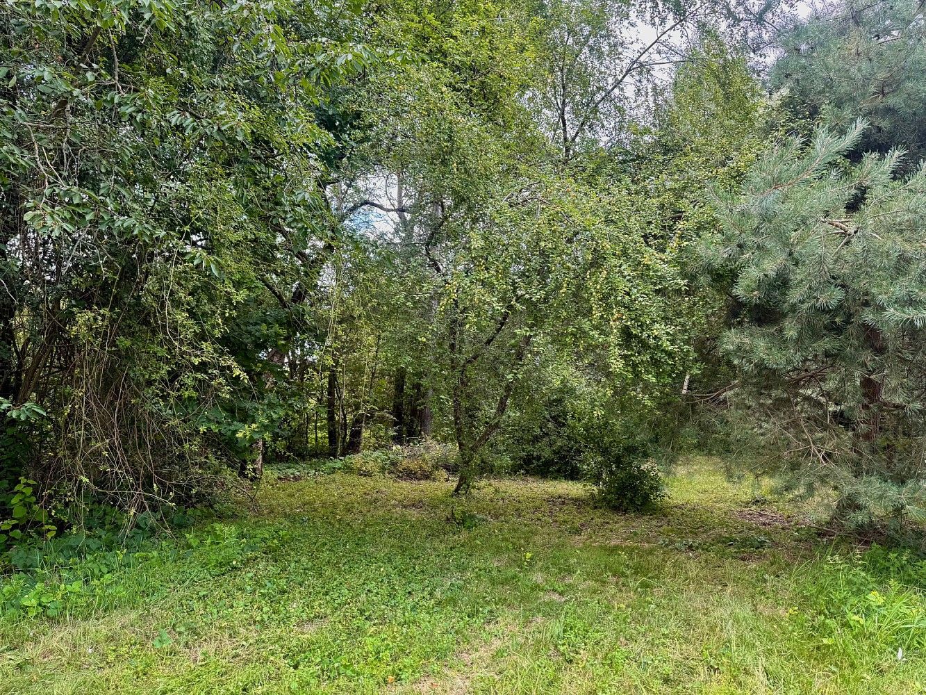 Prodej pozemek pro bydlení - Svojetice, okres Praha-východ, Středočeský kraj - 5